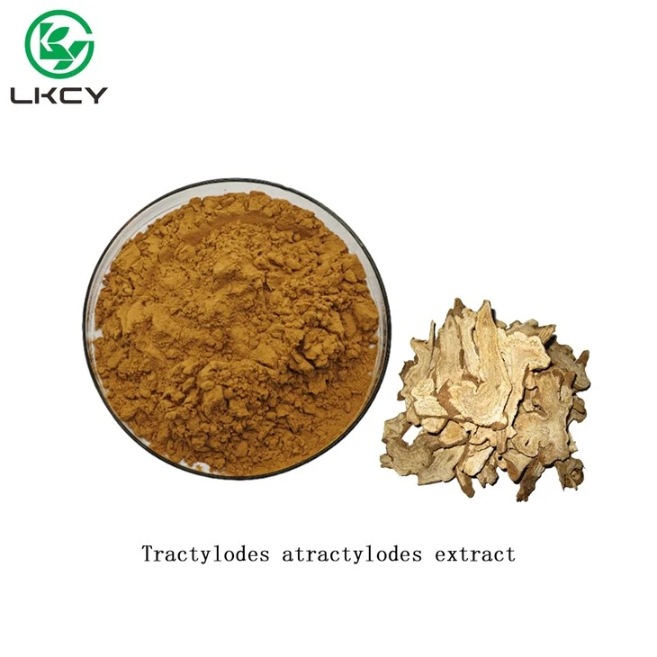 Tractylodes Atractylodes اقتباس